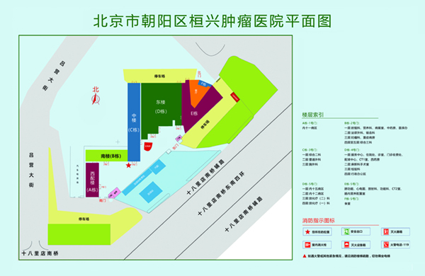 肏逼网北京市朝阳区桓兴肿瘤医院平面图